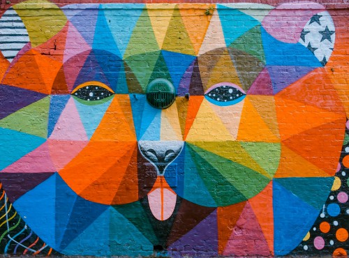 Italian Language and Culture: Beginner